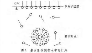 洗滌劑用表面活性劑