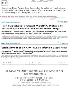 代表性文章