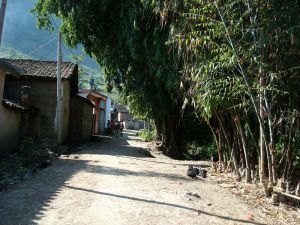 村邊道路