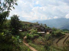 中山自然村[雲南省臨滄市雲縣後箐彝族鄉中山自然村]