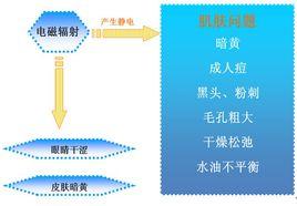 網路失衡肌