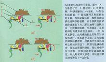 ZB26發射機構示意圖