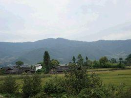 寨河村[雲南騰衝縣明光鄉下轄村]