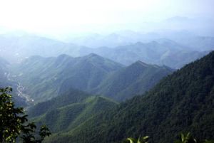 天目山森林公園