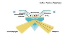 SPR 技術示意圖