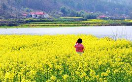 龍頭寨[湖北省荊門市東寶區栗溪鎮]