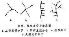 高分子鏈的支化結構