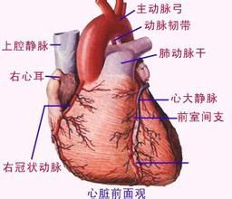 傷寒性心肌炎