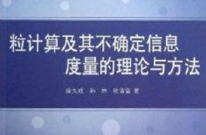 粒計算及其不確定信息度量的理論與方法