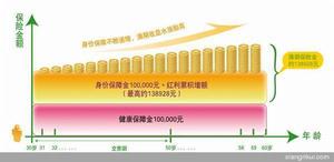 民生人壽如意相伴兩全保險