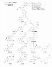 類固醇激素