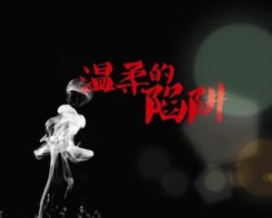 溫柔的陷阱[電影作品]