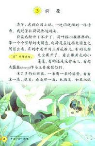 荷花[葉聖陶所作散文]