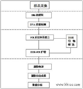 分子生態學