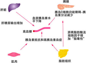 消渴病