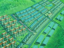 半塔鎮羅莊村發展生產推進新農村建設