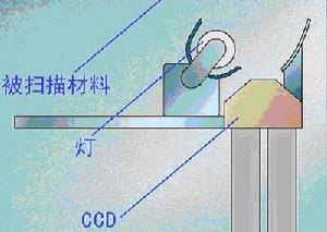 掃描元件