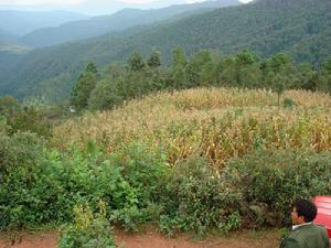 寨子山村風貌