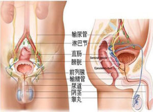 前列腺炎症狀