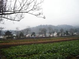 藍田村[福建省泉州市惠安縣紫山鎮藍田村]