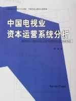 中國電視業資本運營系統分析