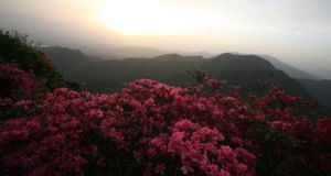 木蘭雲霧山