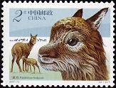 《藏羚羊》特種郵票