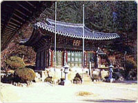 孔雀山壽陀寺