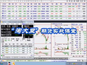 淘大豆期貨實戰課堂