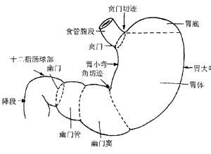 胃食管反流症狀