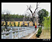 京山禪院