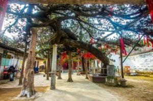 松雲寺