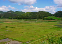 閩北大地