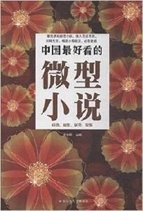 中國最好看的微型小說