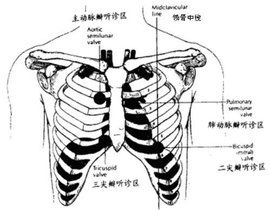 第二心音