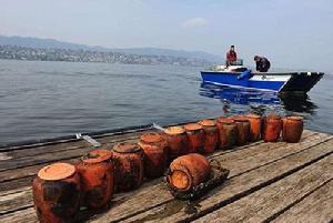 潛水員在瑞士蘇黎世湖底撈出大量裝有人類骨灰的骨灰瓮