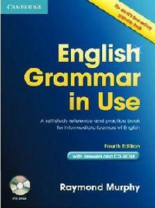 English Grammar in Use