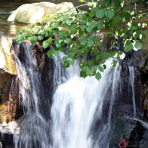 花果山國家森林公園