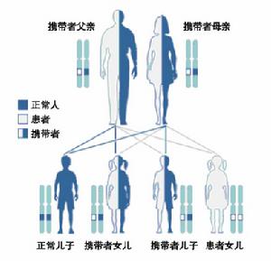 常染色體