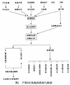 產科播散性血管內凝血