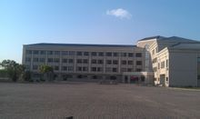 南開大學濱海學院