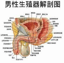 輸尿管狹窄