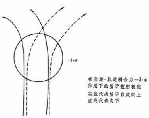 核反應中的極化現象