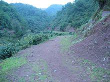 陡丘坡村進村道路