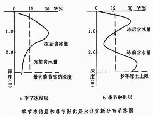 季節凍土