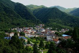 何村村[浙江省德清縣莫乾山鎮何村村]