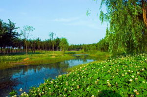 鏡湖國家城市濕地公園