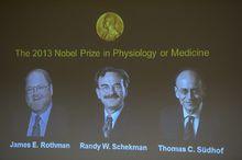 2013年諾貝爾生理學獎得主