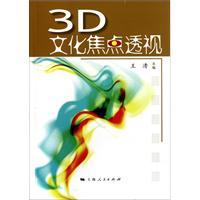 3d文化焦點透視