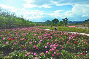 下水溝村[北京市延慶縣珍珠泉鄉下轄村]